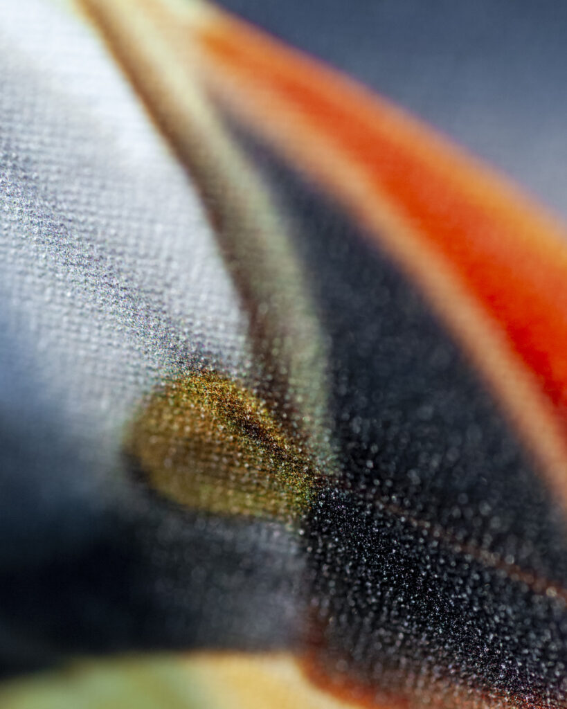 Photograph from an actual print